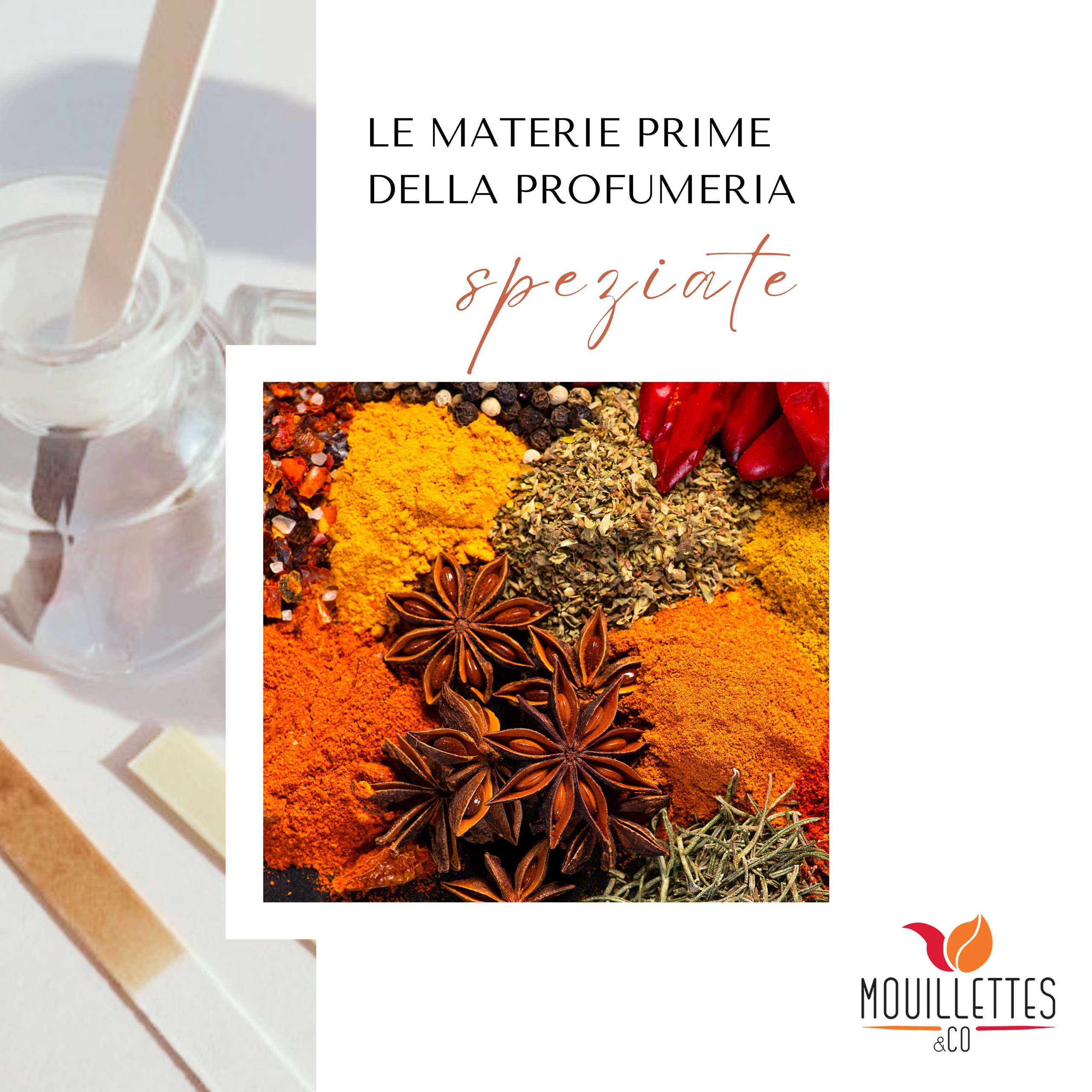 le materie prime della profumeria - speziate | mouillettes & co.