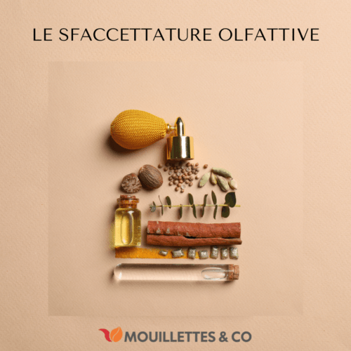 Le sfaccettature olfattive 5 SFACCETTATURE OLFATTIVE
