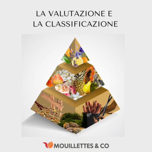 VALUTAZIONE E CLASSIFICAZIONE