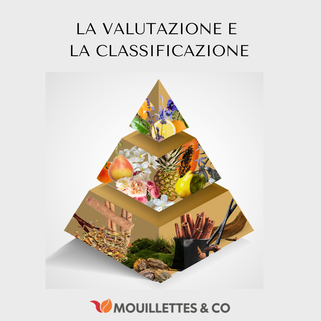La valutazione e la classificazione 10 VALUTAZIONE E CLASSIFICAZIONE