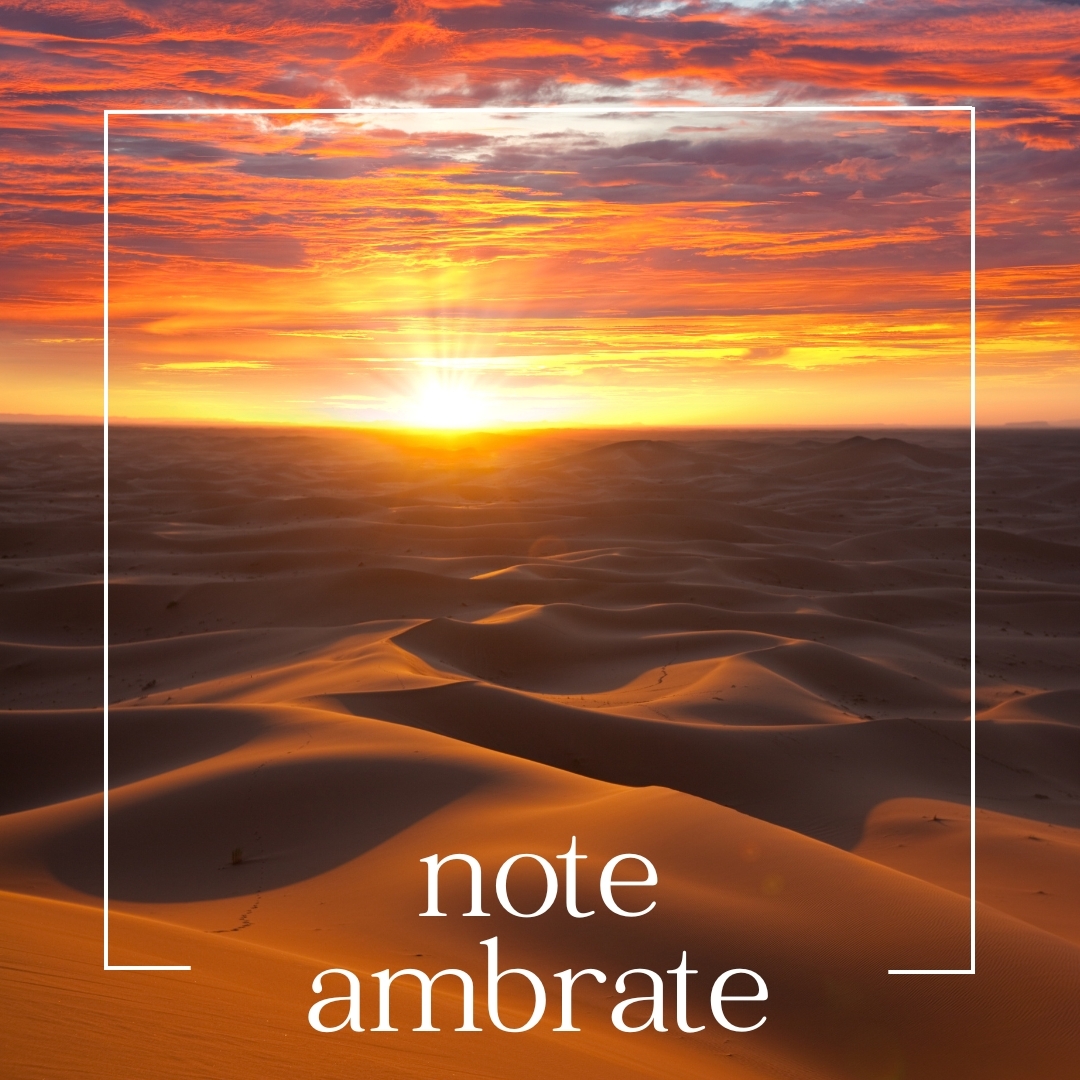 ambrate note ambrate | mouillettes & co.