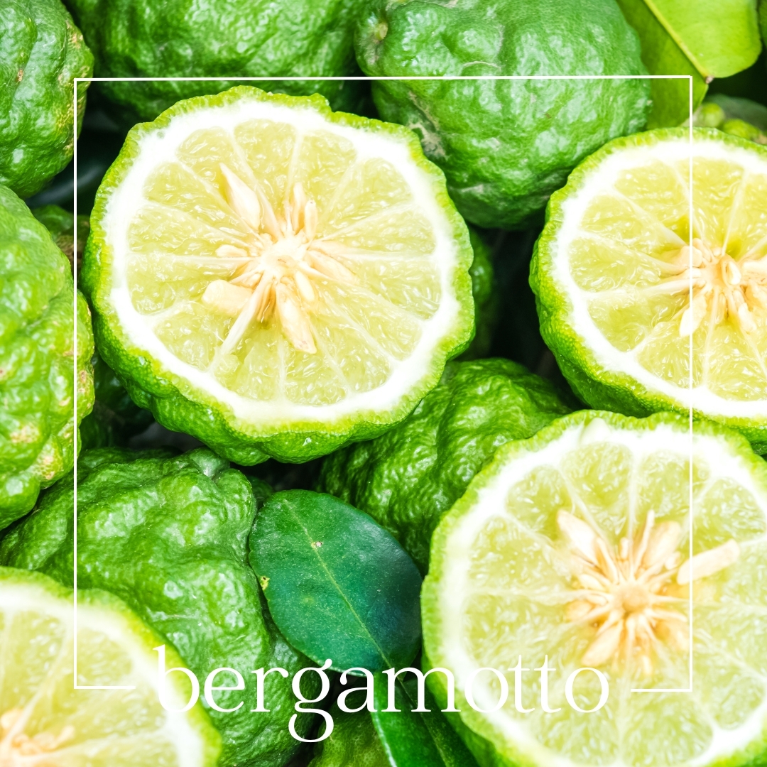 bergamotto bergamotto | mouillettes & co.