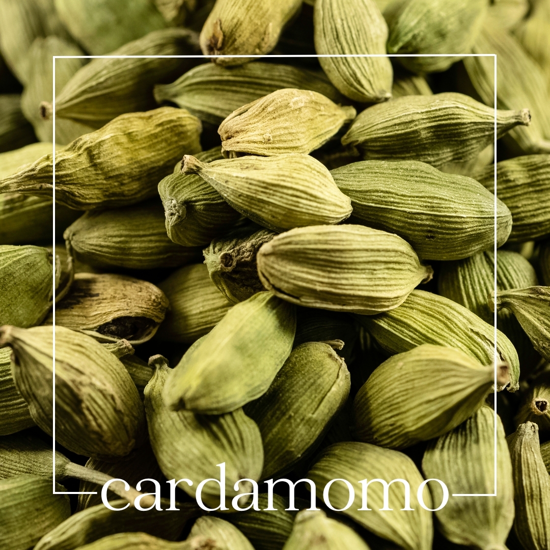 cardamomo | mouillettes & co.