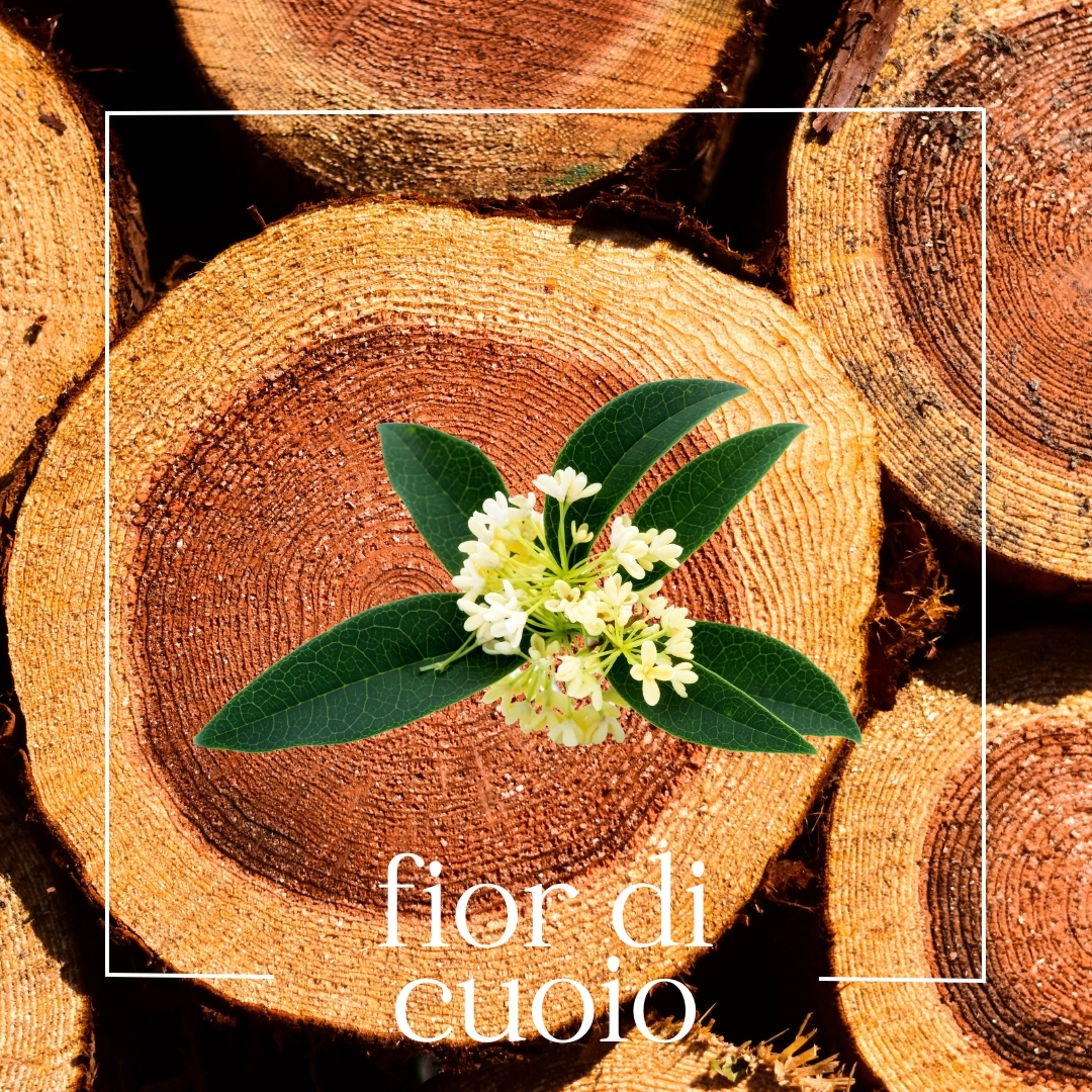 fior di cuoio fior di cuoio | mouillettes & co.