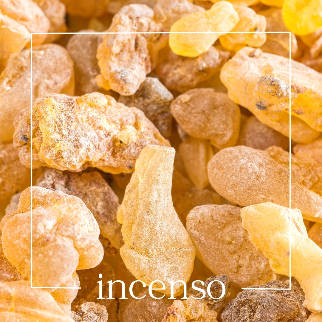 incenso incenso | mouillettes & co.