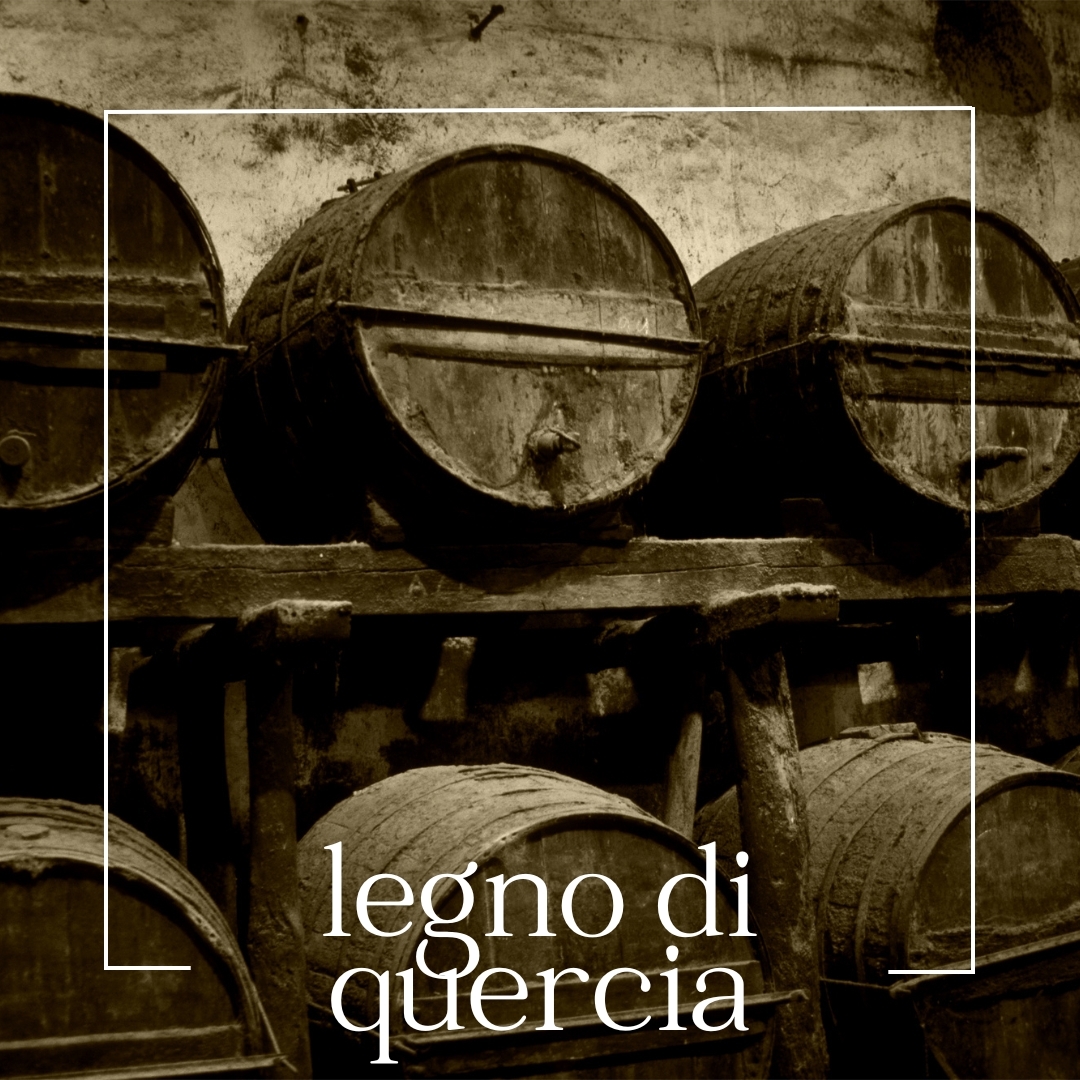 legno-di-quercia legno di quercia | mouillettes & co.