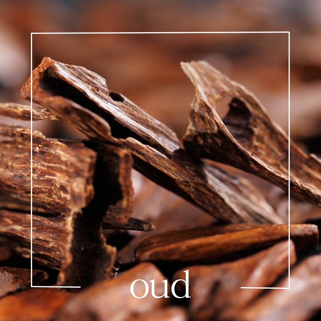 oud oud | mouillettes & co.