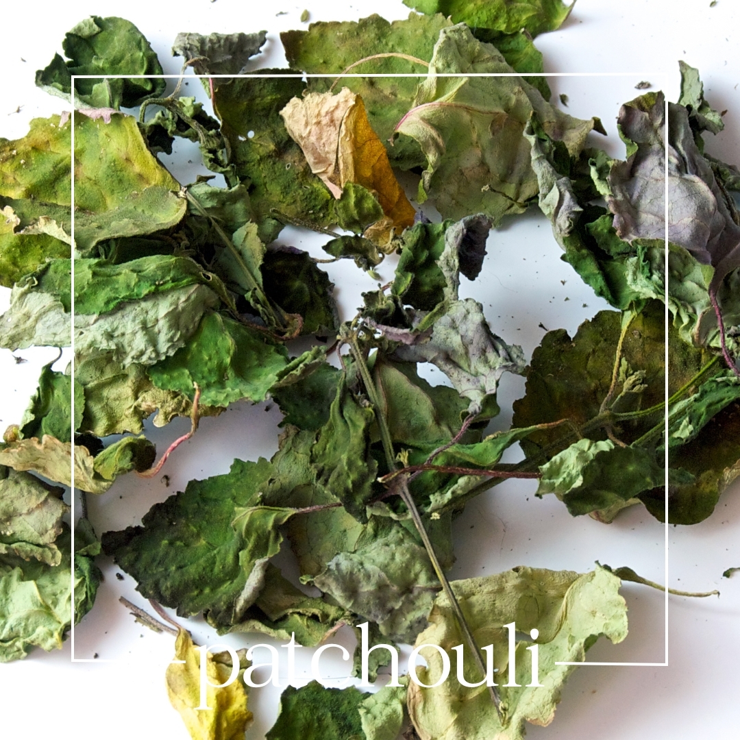 patchouli patchouli | mouillettes & co.