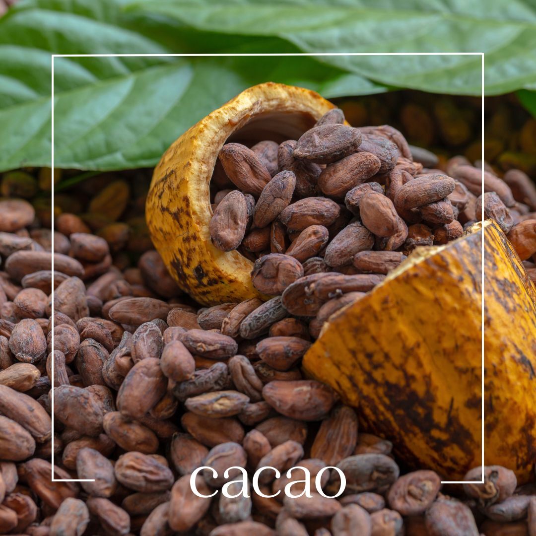 cacao cacao | mouillettes & co.