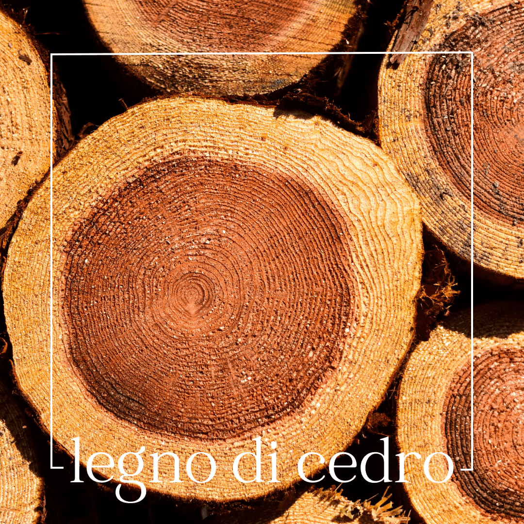 LEGNO DI CEDRO | Mouillettes & Co