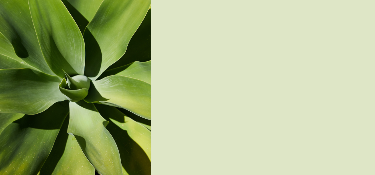 MATERIE PRIME DI TENDENZA