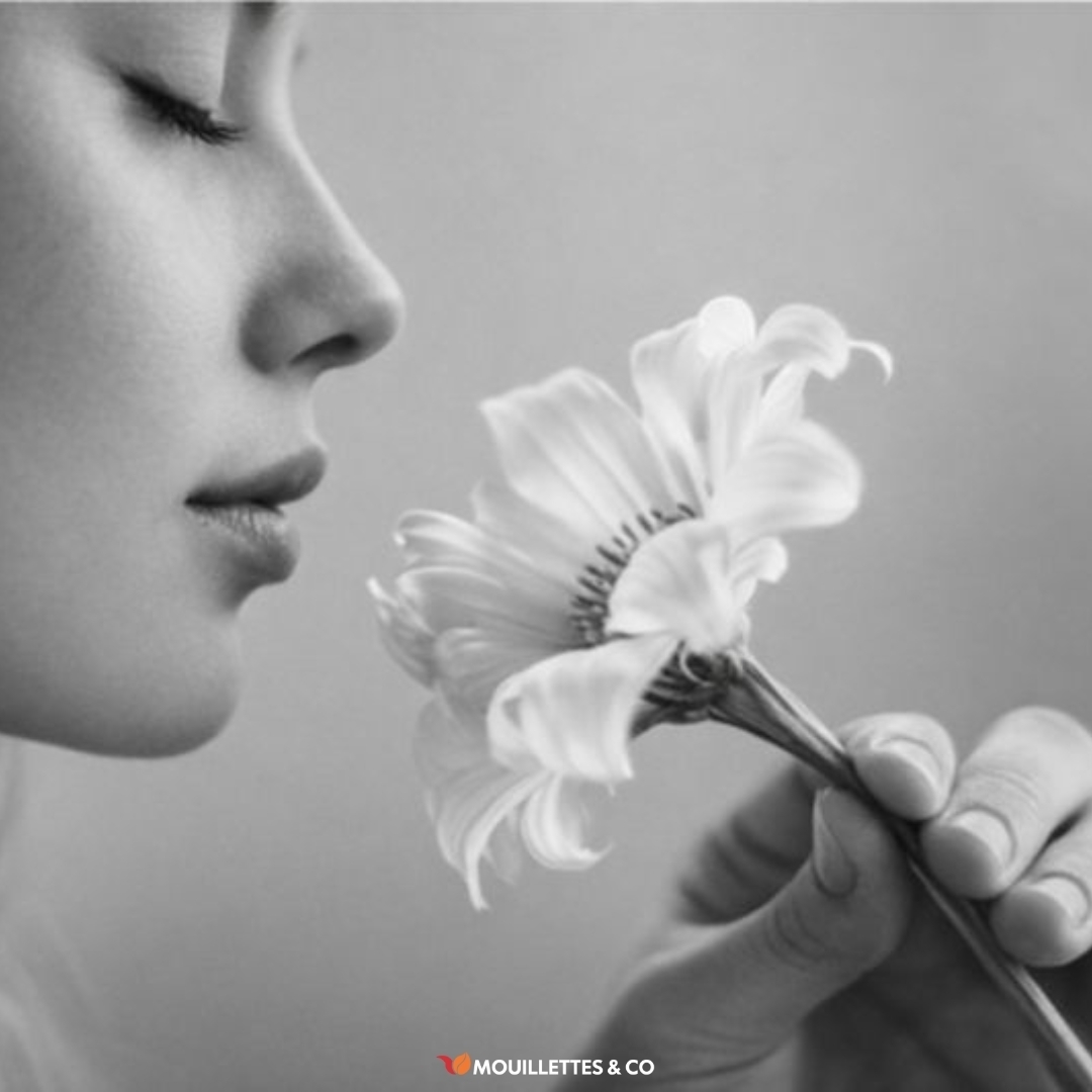 IL LINGUAGGIO DEI SENSI