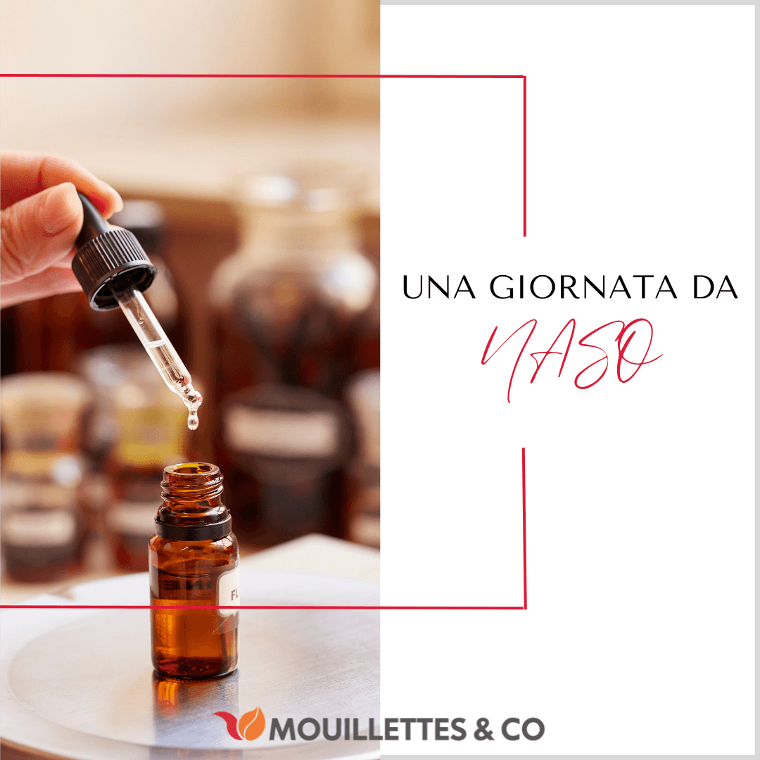 una giornata da naso