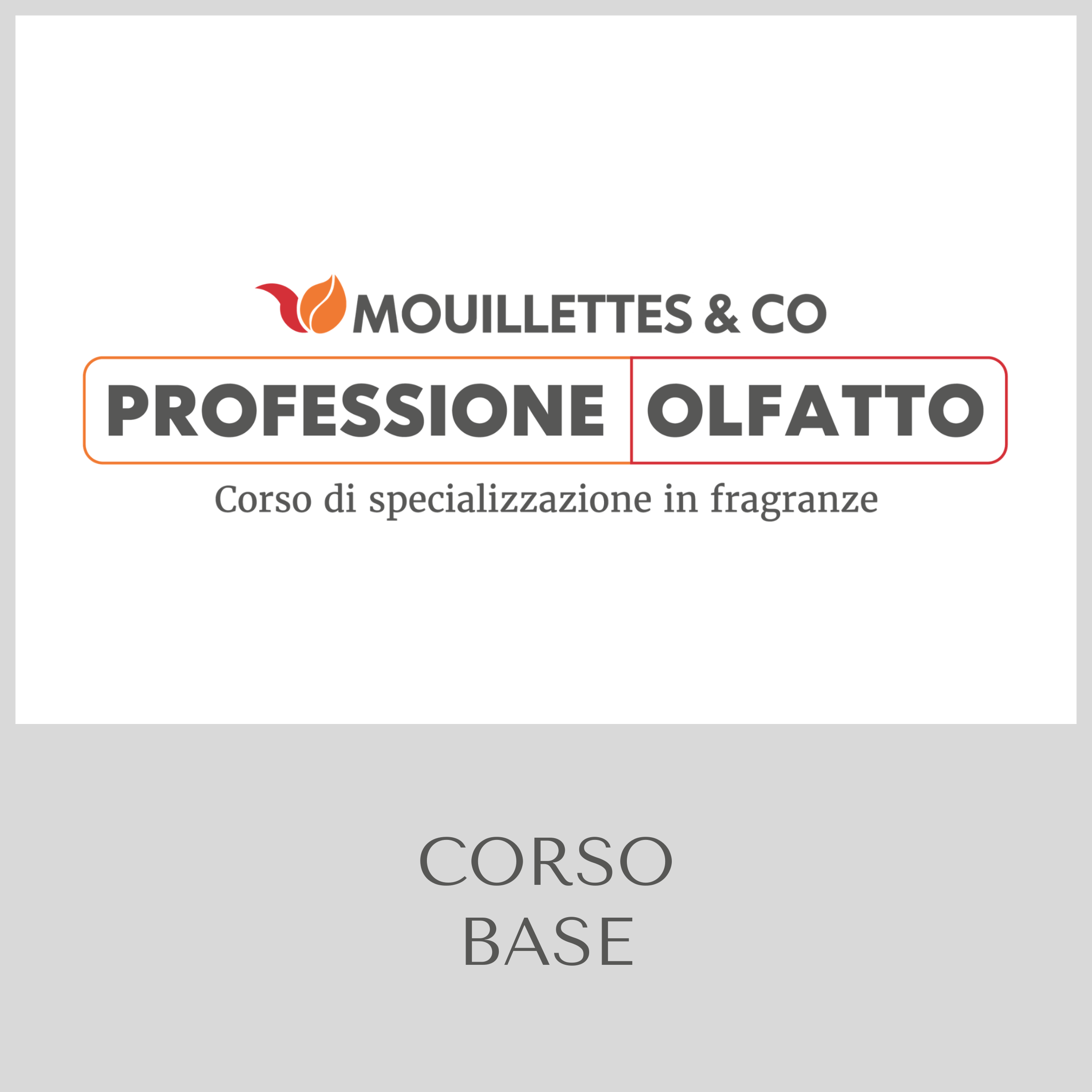 PROFESSIONE OLFATTO CORSO BASE