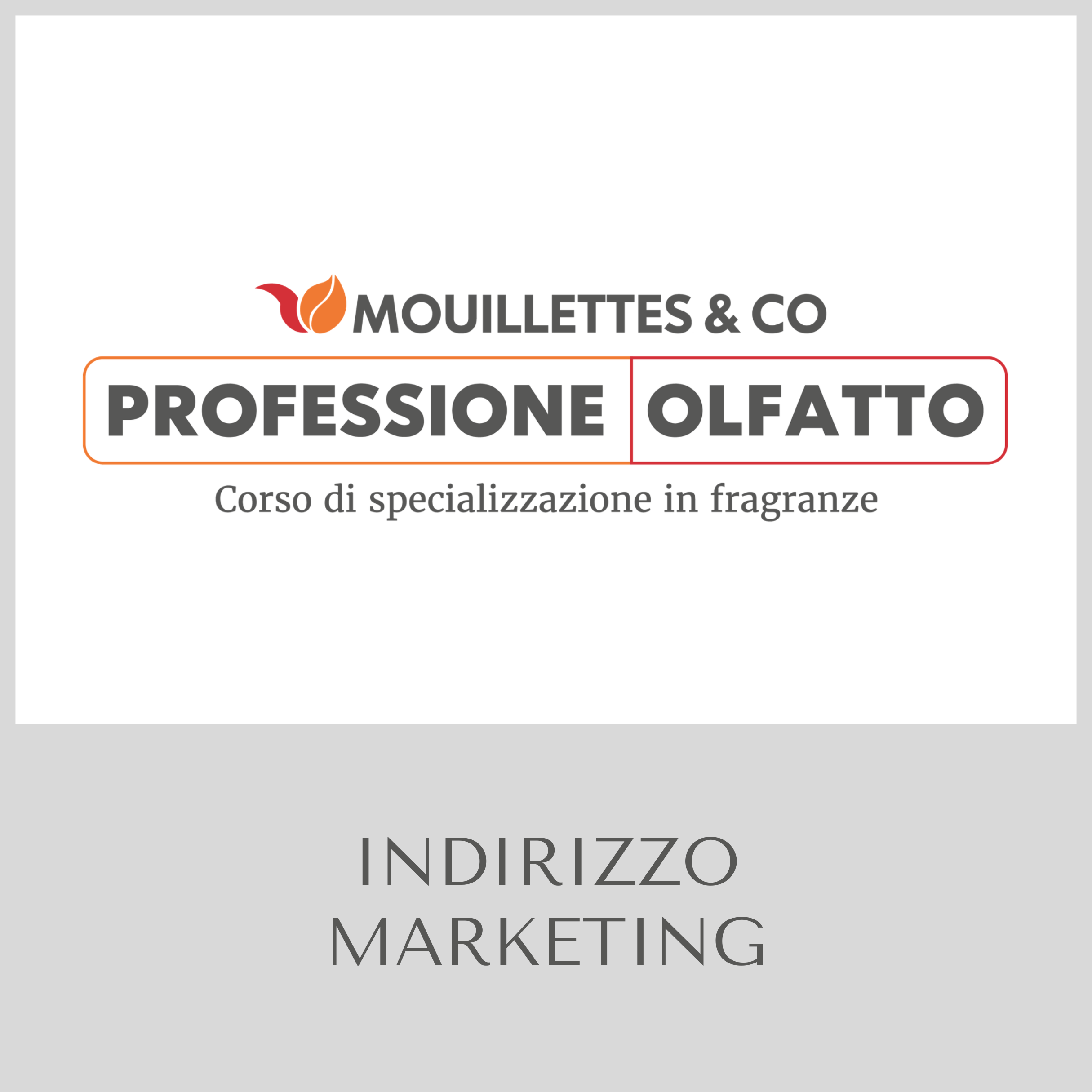 PROFESSIONE OLFATTO INDIRIZZO MARKETING