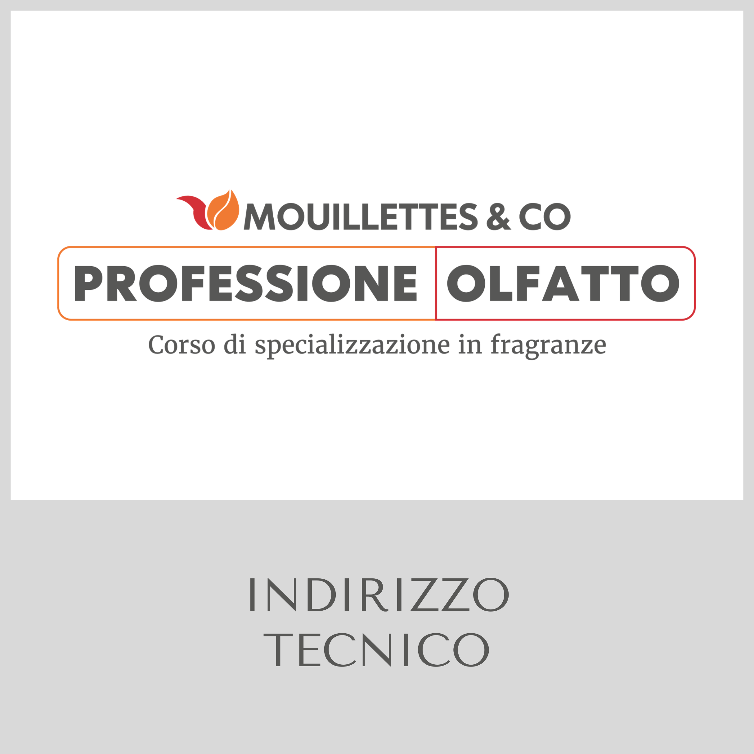 PROFESSIONE OLFATTO INDIRIZZO TECNICO